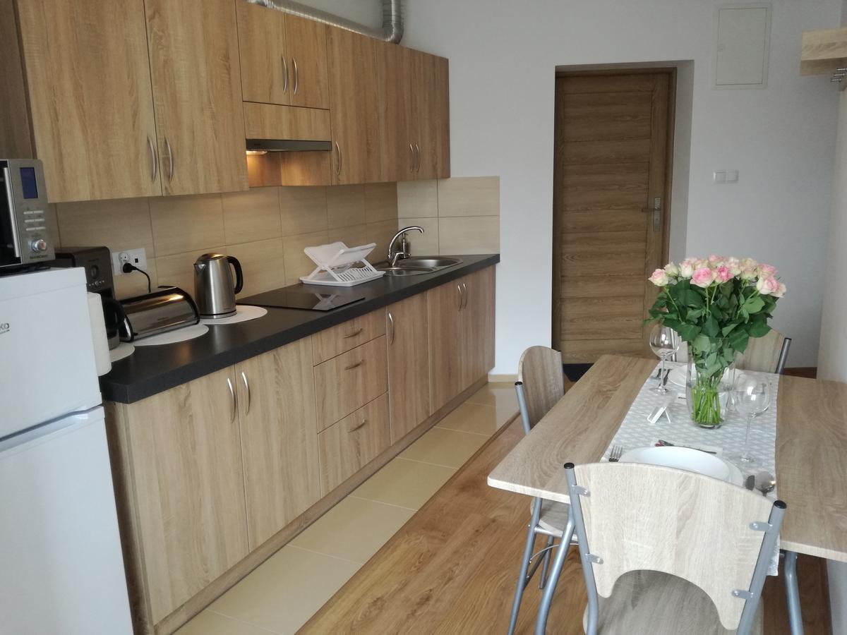 Apartamenty Interdom 扎科帕内 外观 照片